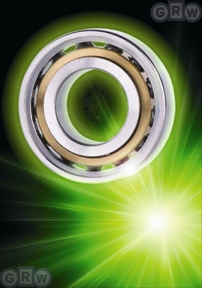 GRW Extreme Precision Bearing for Extreme Harsh Corrosive Environments Radiation